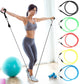 Fitness Resistance Bands Set Workout Exercise Tube Bands with Handles Carry Bags